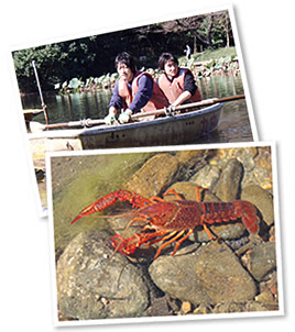 写真:ボート,エビ