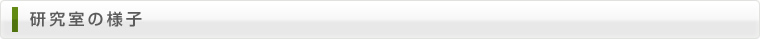 研究室の様子