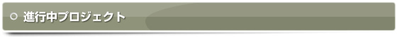 主な進行中プロジェクト